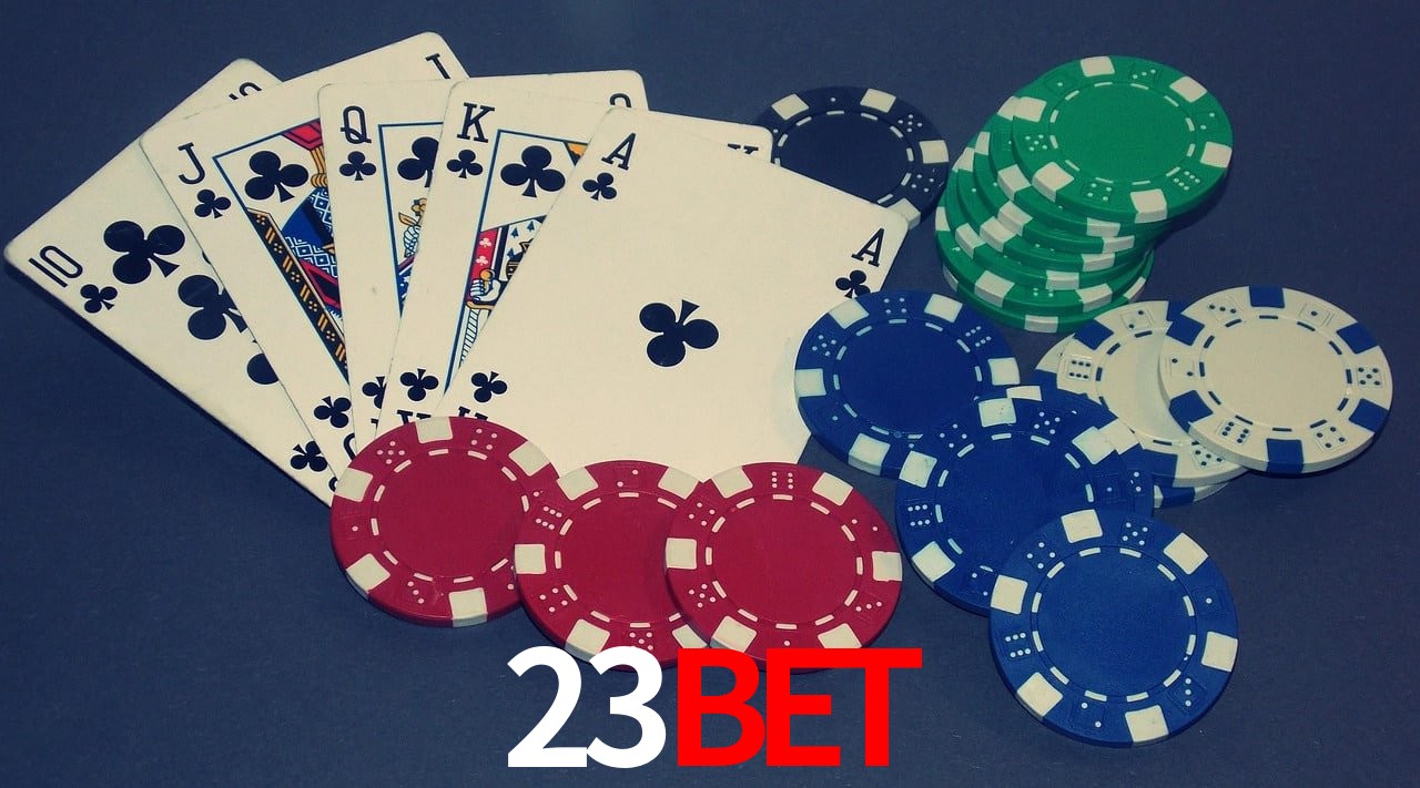 Sports Statistics 23Bet